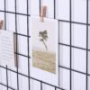 Wall Grid Panel, Photo Holder Display, art and crafts organizer, Metal Mesh grid, Bullitin board