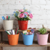 metal buckets, colorful tin buckets, wedding favor buckets, party decoration buckets, small flower pots