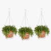 Hanging basket planter, Chain hanging basket, Hanging flower pot, Metal hanging planter, Decorative hanging basket, Wrought iron hanging planter, Outdoor hanging planter