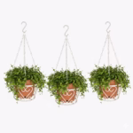 Hanging basket planter, Chain hanging basket, Hanging flower pot, Metal hanging planter, Decorative hanging basket, Wrought iron hanging planter, Outdoor hanging planter
