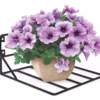 Minimal Wall Hanging Planter, Balcony Planter Holder, Indoor Garden Decor, Flower Pot Holder, Metal Plant Stand