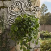 Wall-Mounted Metal Plant Holder, Elegant Scroll Plant Hanger, Outdoor Plant Pot Hook, Durable Metal Pot Holder