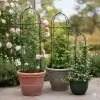 Garden Obelisk Trellis, Plant Supporter, Climbing Rose Trellis, Metal Garden Trellis