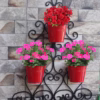Wall-Mounted Metal Plant Holder, Elegant Scroll Plant Hanger, Outdoor Plant Pot Hook, Durable Metal Pot Holder. wall hanging plant hanger