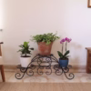 Tuscan Planter Display Stand, tiered plant stand, indoor outdoor plant holder, garden corner, iron art