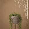 Wrought Iron Hanging Bracket, Garden Wall Hook, Plant Hanger, Outdoor Decor, Bird Feeder Bracket