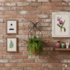 Wall-Mounted Metal Plant Holder, Elegant Scroll Plant Hanger, Outdoor Plant Pot Hook, Durable Metal Pot Holder. wall hanging plant hanger